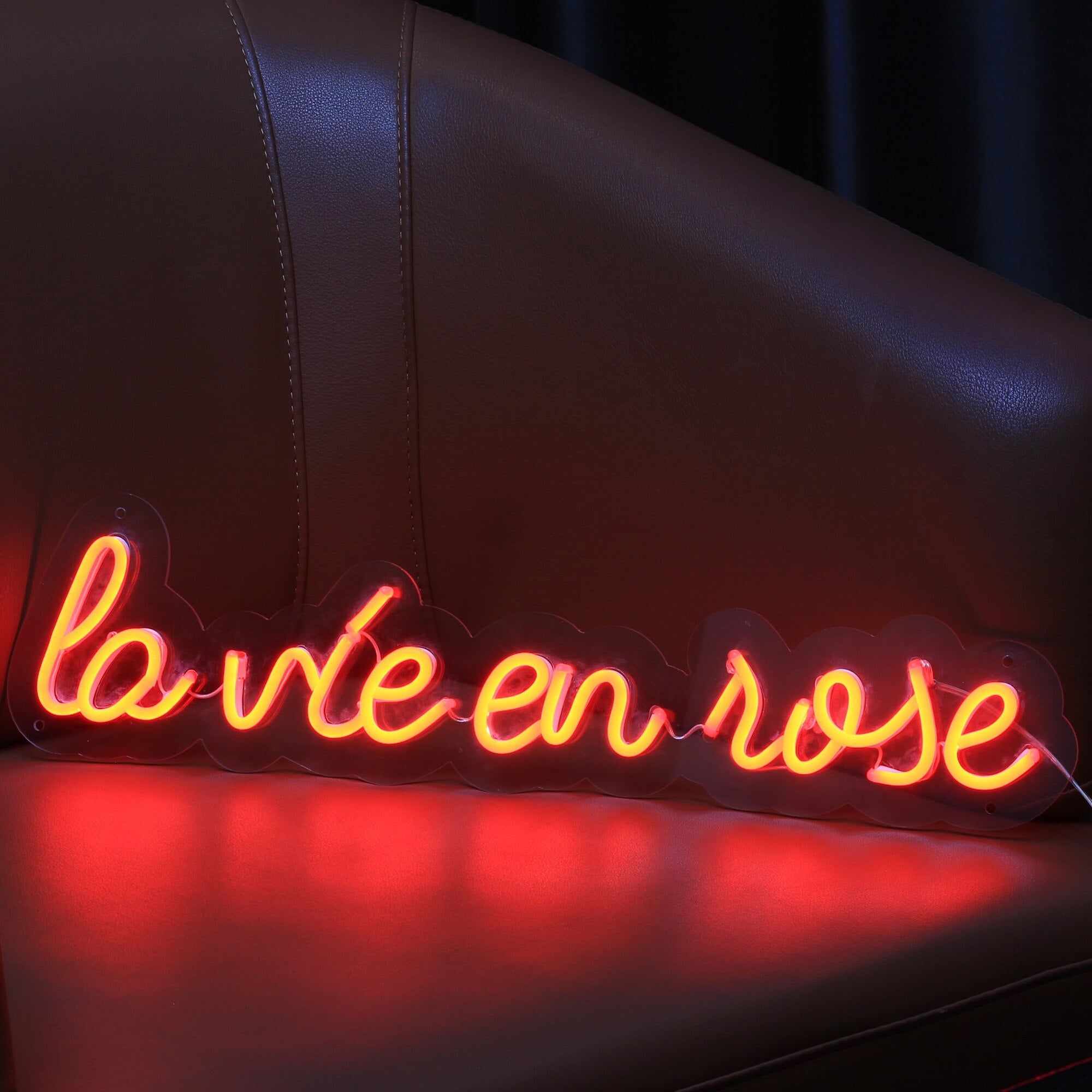 La Vie En Rose Neon Sign
