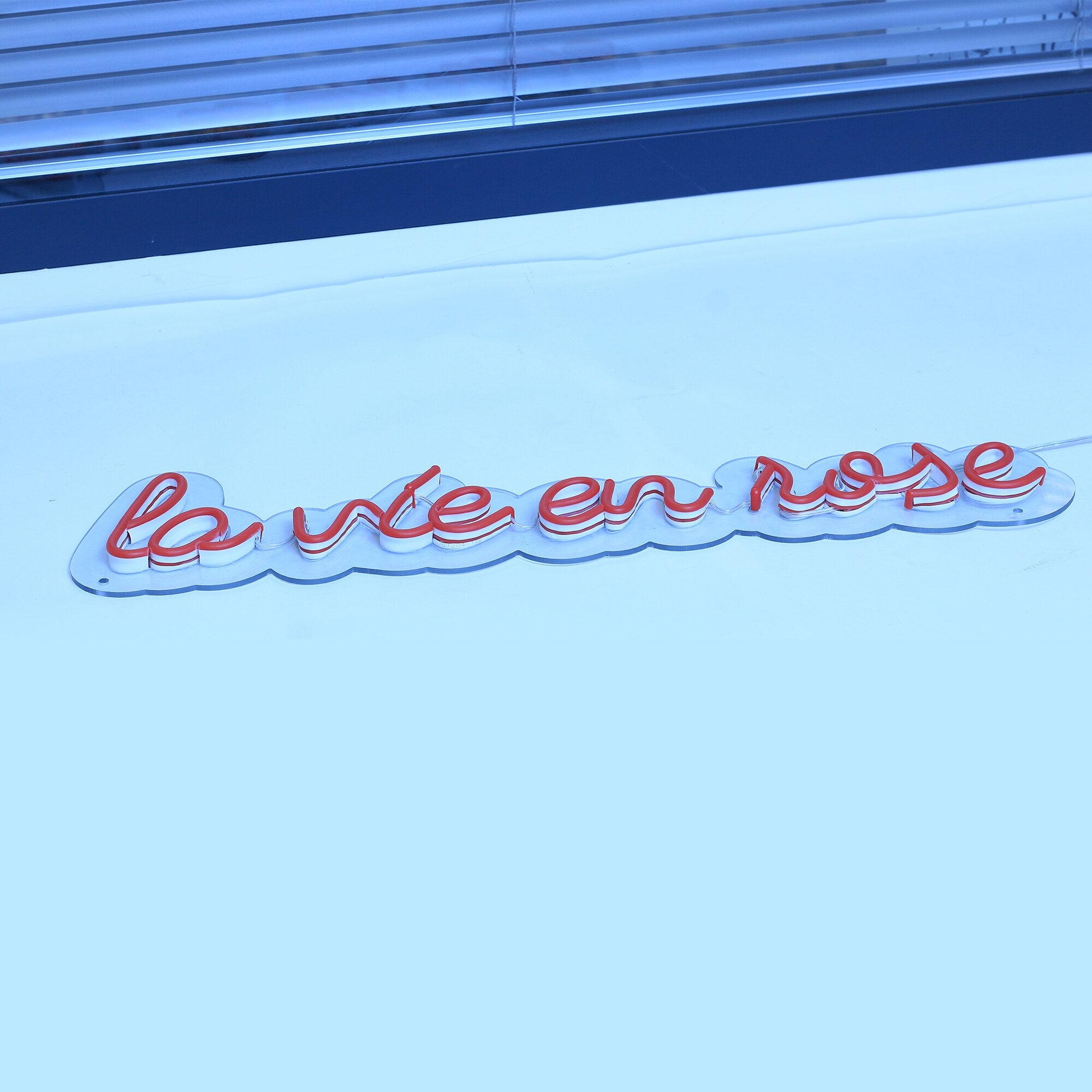 La Vie En Rose Neon Sign - Custom Cool Neon™